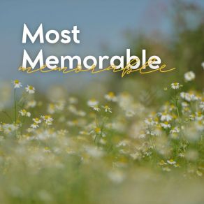 Download track Stop For A Second Ultimate Massage Music Ensemble