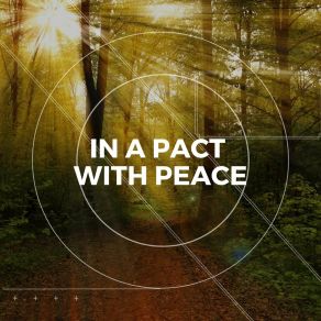 Download track Rain And Trees Swedish Forest Birds