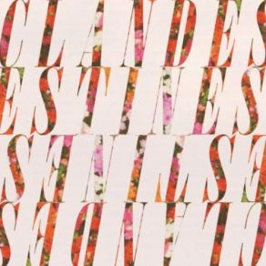 Download track It's Finance Clandestines