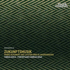 Download track Piano Sonata In C Minor, D. 958 (Franz Schubert): III. Menuetto. Allegro Franz Schubert, Tobias Koch