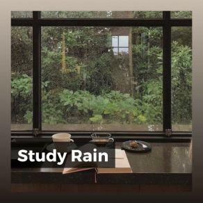 Download track Study Rain Clear Mind Raining