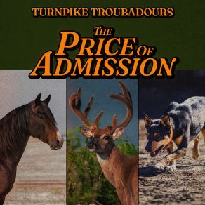 Download track Searching For A Light Turnpike Troubadours