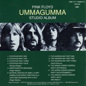 Download track The Narrow Way - Part Two Pink Floyd