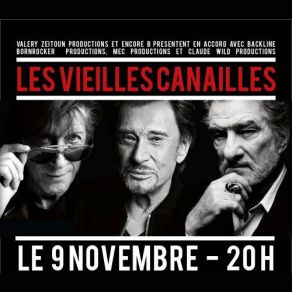 Download track C Est Un Rocker Mitchell