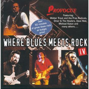 Download track Obstacles In My Way (Live) Walter Trout