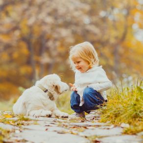 Download track Great Way Pets