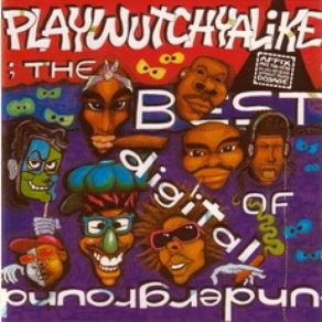 Download track The Humpty Dance Digital Underground