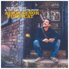 Download track What's The Difference Michael Head, The Red Elastic Band
