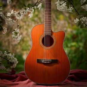 Download track Quiet String Motion Relaxing Meditation Musician