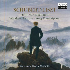 Download track 14 - Impromptu Op. 90 - II. Allegro, S. 565b-1 Franz Liszt