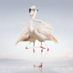 Download track Bonuzz (Bonus Track For Japan) Rustie