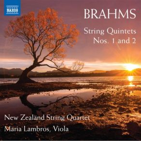 Download track String Quintet No. 1 In F Major, Op. 88