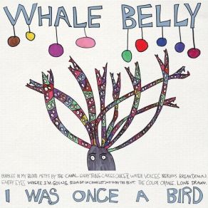 Download track Where I'm Going Whale Belly