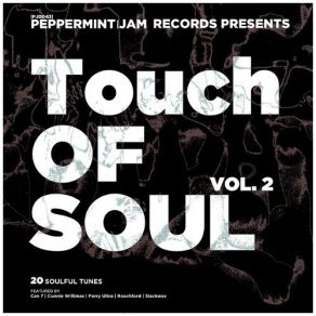 Download track Jersey Girl (Original Mix) Jan Van Der Toorn