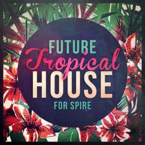 Download track Learn To Fly (Original Mix) Inpetto, David Spekter