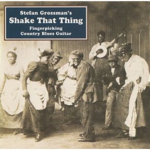 Download track Shake That Thing Stefan Grossman