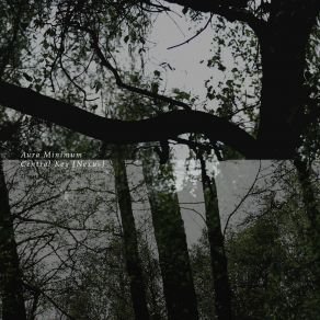 Download track Fragment IV (The Nautilus Project Wandering Remix) Aura Minimum