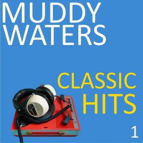 Download track I Be's Troubled Muddy Waters