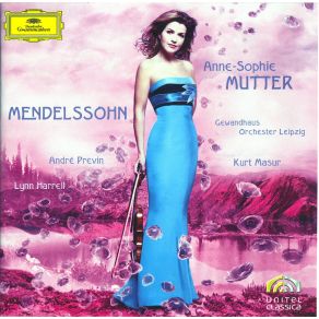 Download track Piano Trio NO. 1 In D Minor, Op. 49: 1. Molto Allegro Agitato Anne-Sophie Mutter