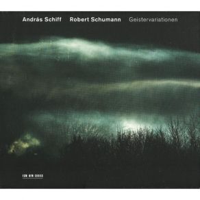 Download track 15. Variations On An Original Theme For Piano In E Flat Major -Geister-Variationen- WoO 24- Var. 2. Canonisch Robert Schumann