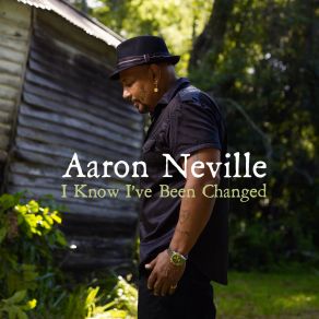 Download track I'm So Glad (Trouble Don't Last) Aaron Neville