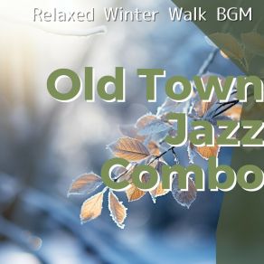 Download track Gentle Reflections In Frost (Keya Ver.) Old Town