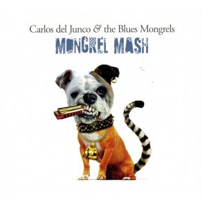 Download track The Field Carlos Del Junco And The Blues Mongrels