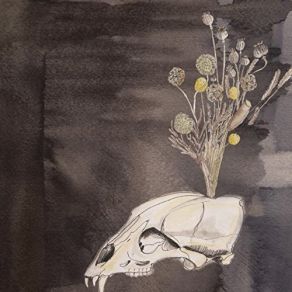 Download track Seasonal Hire The Black Twig Pickers, Steve Gunn