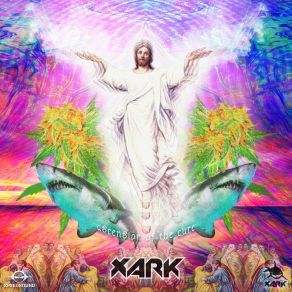 Download track Oh Yeah Baby (Original Mix) Xark