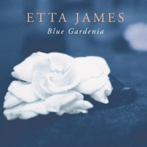 Download track Don't Worry 'Bout Me Etta James