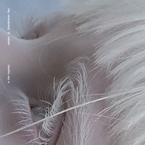 Download track Text Me When You Wake Up Scandinavian Star, Oqbqbo