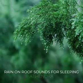 Download track 1 Hour Deep Sleep With Heavy Rain On A Tin Roof Athenora