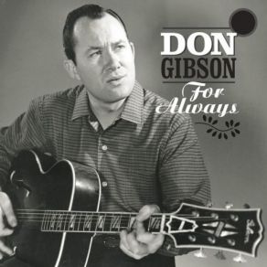 Download track Didn't Work Out, Did It Don Gibson