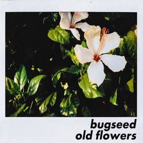 Download track Beautiful Spring Pt. 2 Bugseed