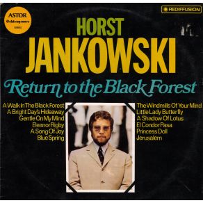 Download track Blue Spring Horst Jankowski