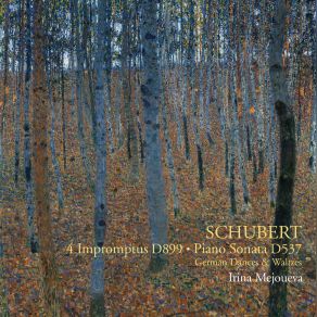 Download track Impromptus, Op. 90, D. 899 - No. 2 In E-Flat Major: II. Allegro Irina MejouevaImpromptus