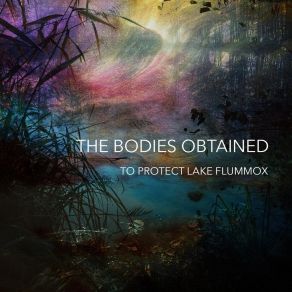 Download track Nincompoop The Bodies Obtained