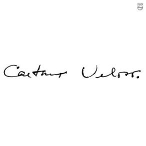 Download track Carolina Caetano Veloso
