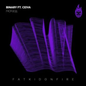 Download track Decoding Binary, Ceiva