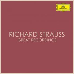 Download track Horn Concerto No. 2 In E-Flat Major, TrV 283: 3. Rondo (Allegro Molto) Richard StraussWiener Philarmoniker