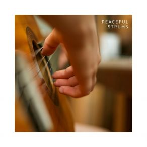 Download track Calm Sunset Jazz Guitar Vibes