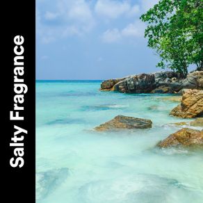 Download track Collecting Shells Ocean Sound Machine