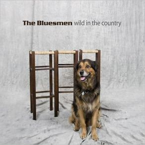 Download track Why Not Me The Bluesmen