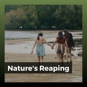 Download track Steep And Narrow Natures Orchestra