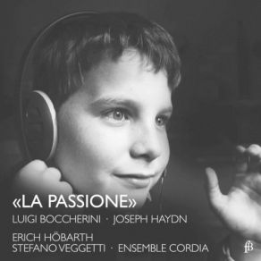 Download track Violin Concerto In C Major, Hob. VIIa 1 II. Adagio (Live) Erich Höbarth