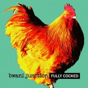 Download track Two Bridges Bwani Junction