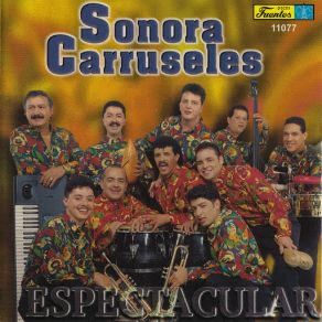 Download track Vitamina Sonora CarruselesMarinho Paz