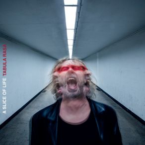 Download track What Doesn't Kill Me A Slice Of Life