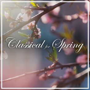Download track J. S. Bach: Christ, Unser Herr, Zum Jordan Kam, Alio Modo, BWV 685 Helmut Walcha
