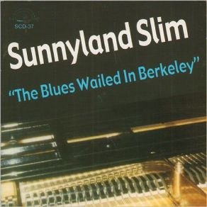 Download track She Got A Thing Goin' On Sunnyland Slim
